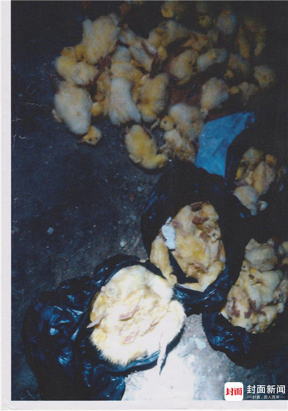 ���������γ�����թƭ��ҵ�� �ܺ��ߣ�������ϵƭ��һ��