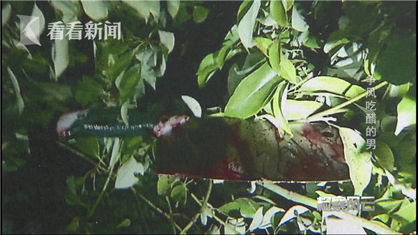 ��������ǧ�� ��ǰŮ�ѵ��������ѿ���Ѫ��