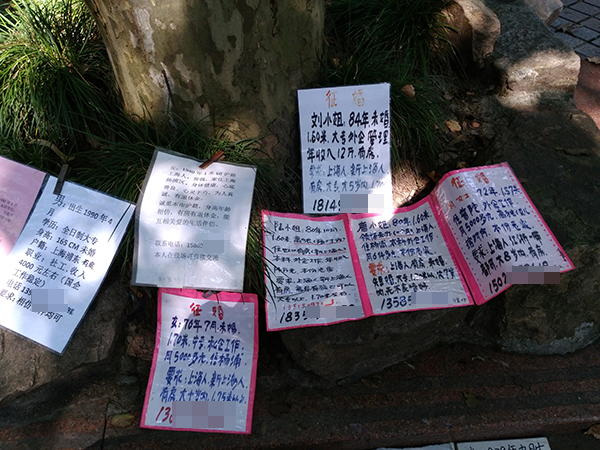 �Ϻ����׽�:�ҳ�������ʶֻ��ƴ���� ������Ů����