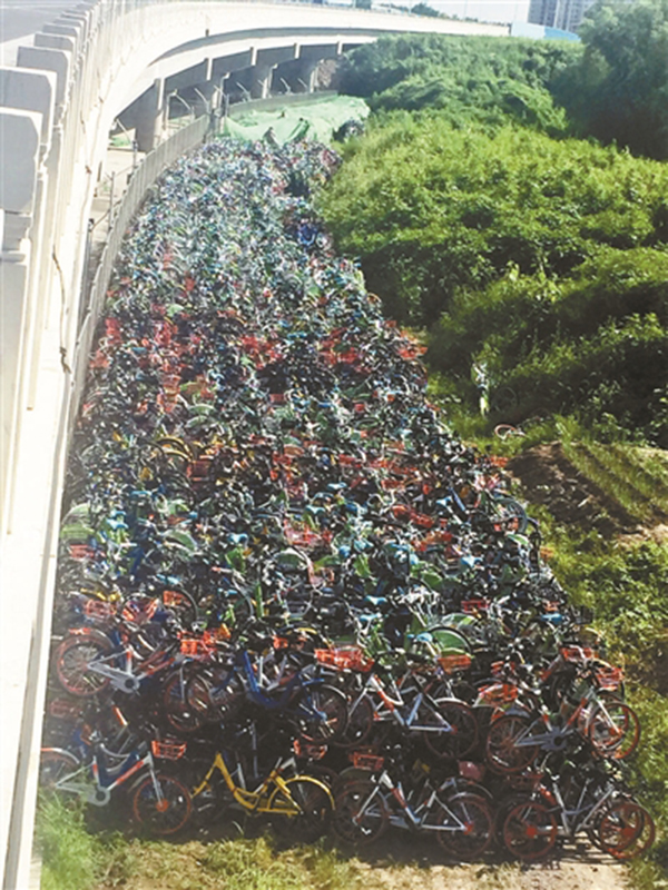 �߼ܶѻ��������� ������Ա�ƣ���Щ����Υ����ͣ�ҷŵ�